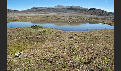 Aethiopien (Ethiopia)