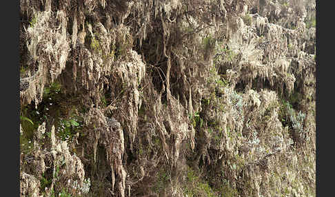 Aethiopien (Ethiopia)