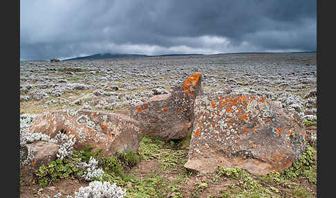 Aethiopien (Ethiopia)