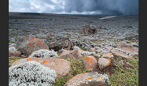 Aethiopien (Ethiopia)