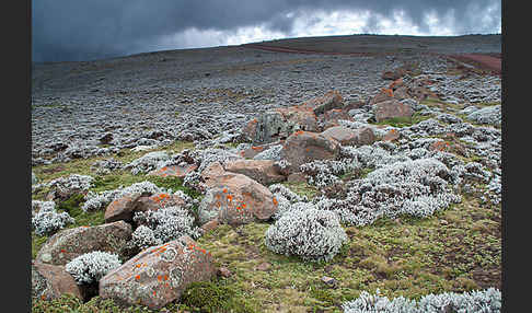 Aethiopien (Ethiopia)