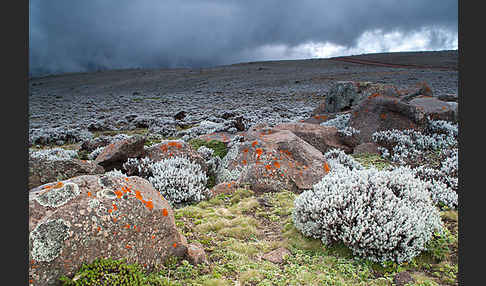 Aethiopien (Ethiopia)