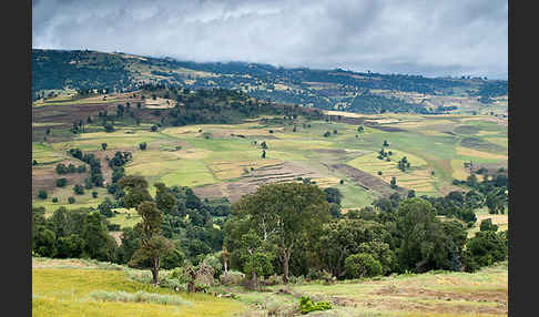 Aethiopien (Ethiopia)