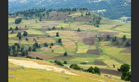 Aethiopien (Ethiopia)