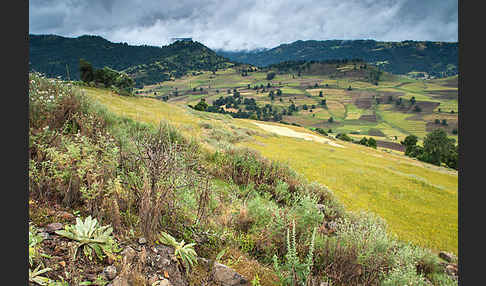 Aethiopien (Ethiopia)