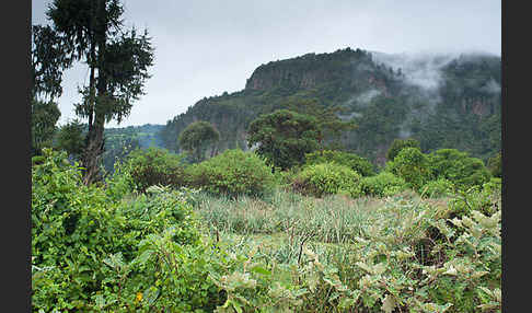 Aethiopien (Ethiopia)