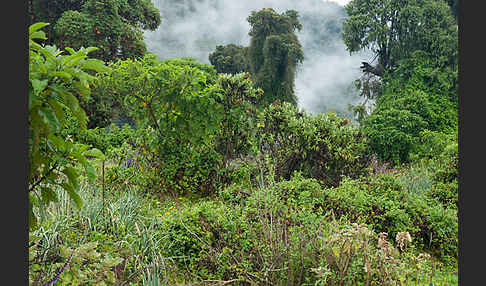 Aethiopien (Ethiopia)