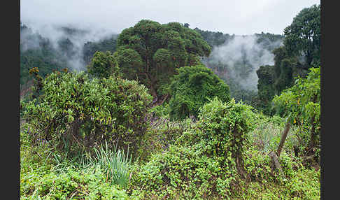 Aethiopien (Ethiopia)