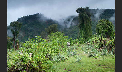 Aethiopien (Ethiopia)