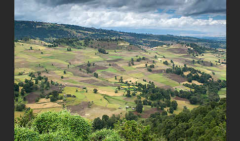 Aethiopien (Ethiopia)