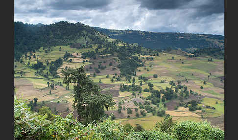 Aethiopien (Ethiopia)