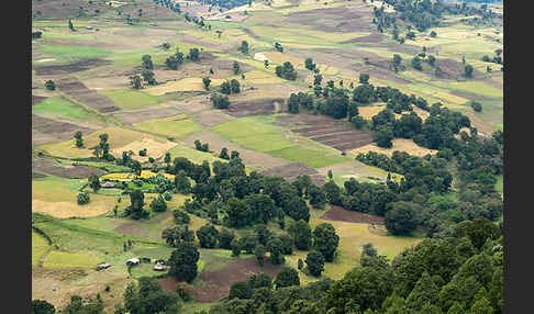 Aethiopien (Ethiopia)