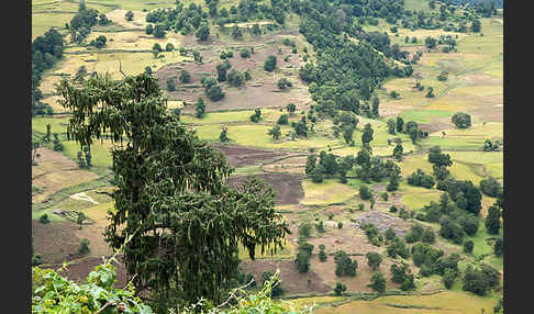 Aethiopien (Ethiopia)