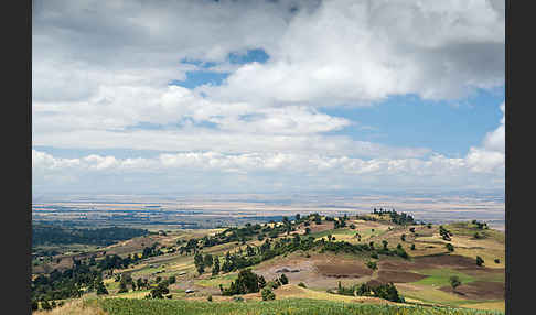 Aethiopien (Ethiopia)