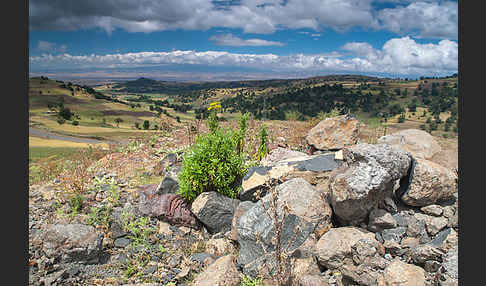 Aethiopien (Ethiopia)