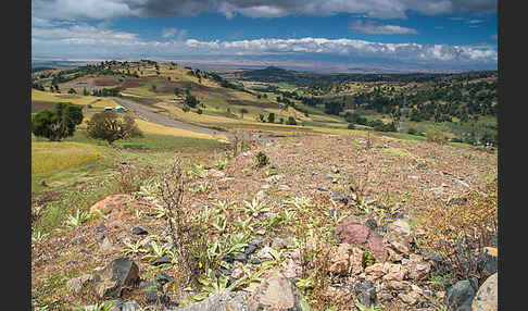 Aethiopien (Ethiopia)