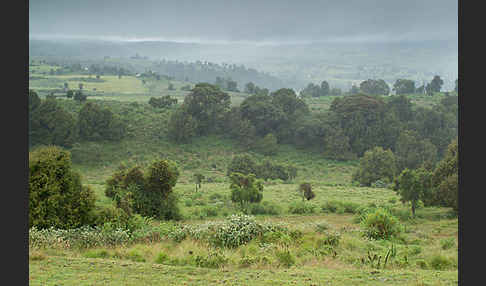 Aethiopien (Ethiopia)