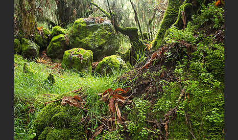Aethiopien (Ethiopia)