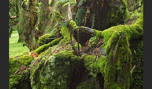 Aethiopien (Ethiopia)