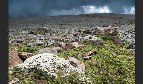 Aethiopien (Ethiopia)