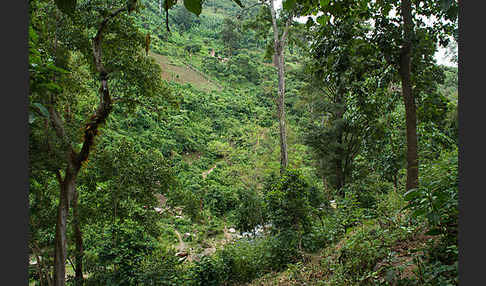 Aethiopien (Ethiopia)