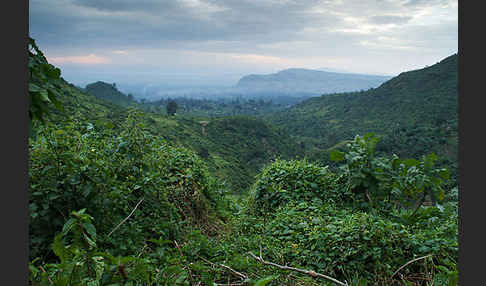 Aethiopien (Ethiopia)