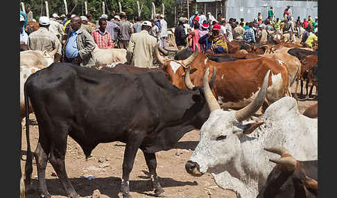 Aethiopien (Ethiopia)