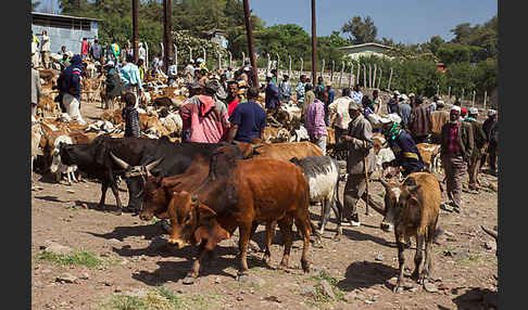 Aethiopien (Ethiopia)