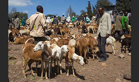 Aethiopien (Ethiopia)