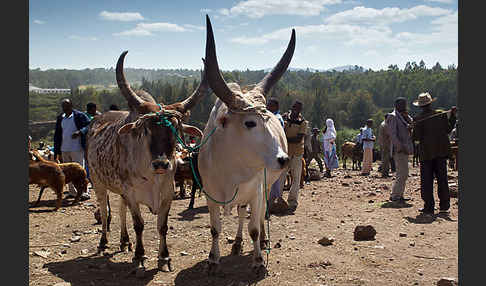 Aethiopien (Ethiopia)