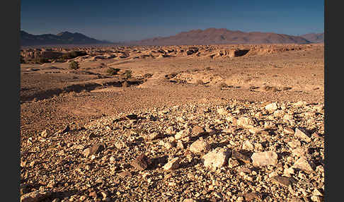 Marokko (Morocco)