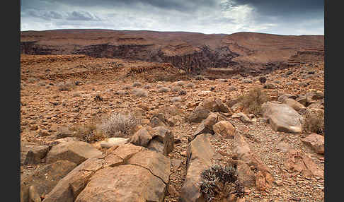 Marokko (Morocco)