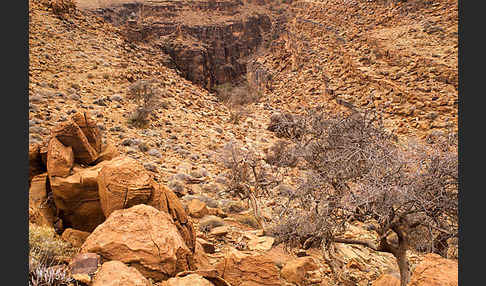 Marokko (Morocco)