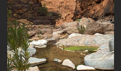 Marokko (Morocco)