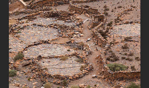 Marokko (Morocco)