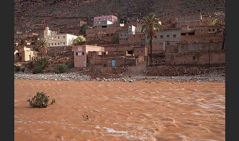 Marokko (Morocco)