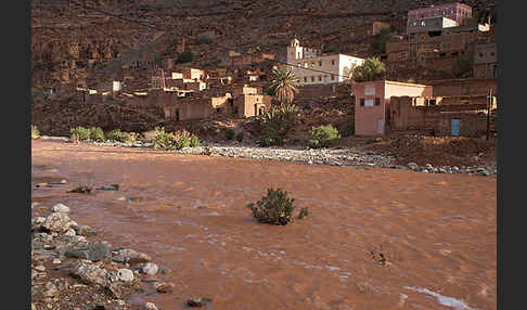 Marokko (Morocco)