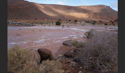 Marokko (Morocco)