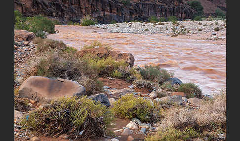 Marokko (Morocco)