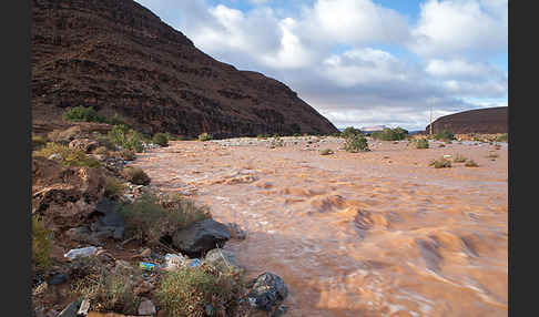 Marokko (Morocco)