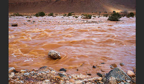 Marokko (Morocco)