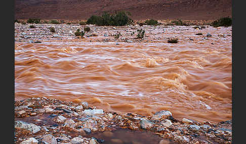 Marokko (Morocco)