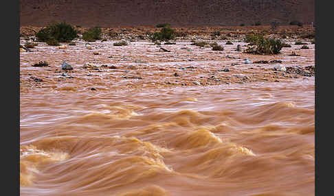 Marokko (Morocco)