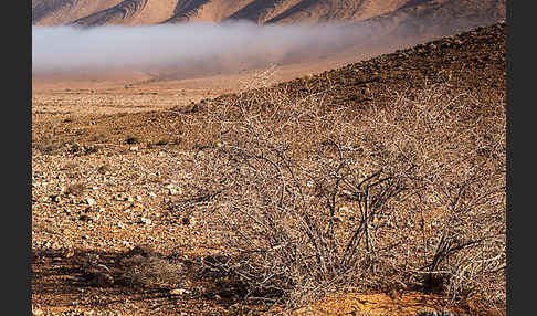 Marokko (Morocco)