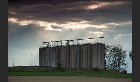 Intensive Landwirtschaft (industrial agriculture)