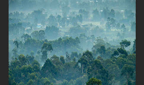 Aethiopien (Ethiopia)