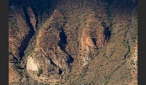 Aethiopien (Ethiopia)