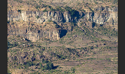 Aethiopien (Ethiopia)