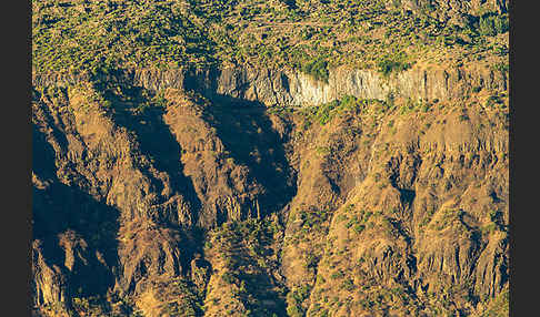 Aethiopien (Ethiopia)