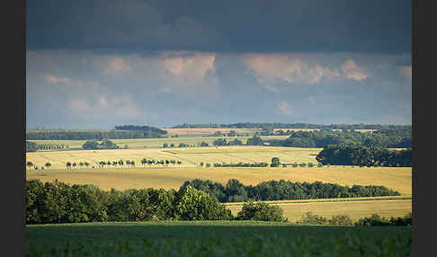 Thüringen (Thuringia)